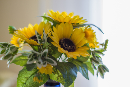 Yellow flowers on a light background.の写真素材