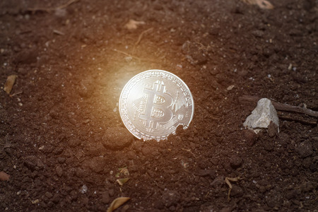 Mining of crypto-currencies. Coin bitcoin in the ground. Concept of digging bitcoin.の写真素材