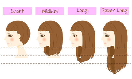 Set of different hair length - short, medium and long, super long.のイラスト素材