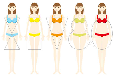 Types of the female figure.vector illustrationのイラスト素材