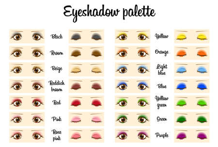 types of eye shadow. vector illustrationのイラスト素材