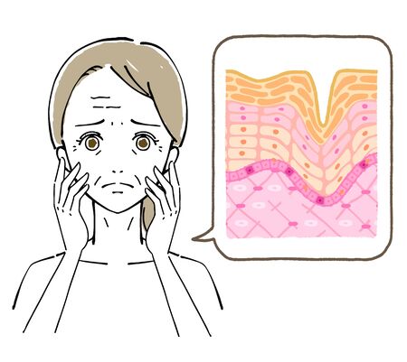 Illustration of Women's Faces, Beauty Concernsのイラスト素材