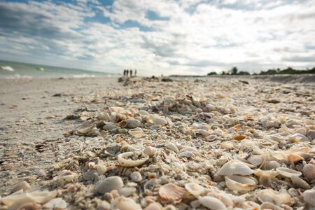 Closeup of shell beach with thousands of shells for collecting at Sanibel Island, Florida. Sunny day with clouds, blurred people visible in backgroundの写真素材