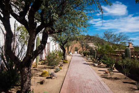 Desert walkway near historic Arizona mission with cacti and trees on roadside.の写真素材