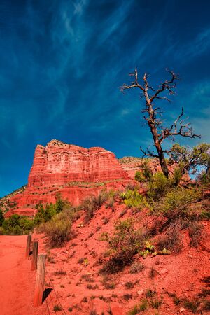 Bright red rocks and lone tree before blue sky at Bell Rock in Sedona, Arizona. Great contrast, clear sky, sunny summer day. No people visible.の写真素材