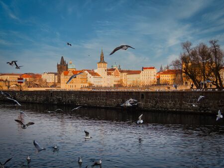 View over Vltava river and Prague historic old town with birds flying away on sunny day. Blue sky with few clouds, no people visible. Copyspace.の写真素材