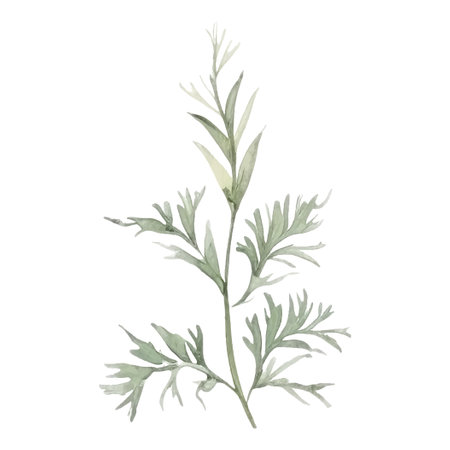 Floral decoration set. Botanic arrangements with colorful flowers, leaf, branch. Flower elements for wedding, greeting card or logo composition design. Vector illustrationのイラスト素材