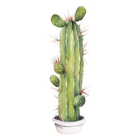 Cactus Watercolor Illustration.Succulent and Cacti Prints Elementsのイラスト素材