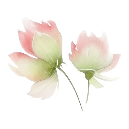 Watercolor hand painted flower illustration. Floral decoration elements isolated on white backgroundのイラスト素材