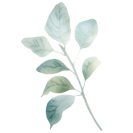 Watercolor hand painted flower illustration. Floral decoration elements isolated on white backgroundのイラスト素材