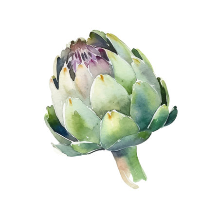 Watercolor Artichoke Illustration. Hand-drawn fresh food design element isolated on a white background.のイラスト素材