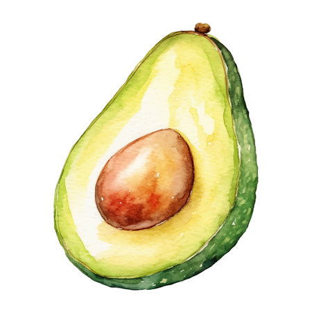 Watercolor Avocado Illustration. Hand-drawn fresh food design element isolated on a white background.のイラスト素材