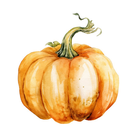 Watercolor Pumpkin Illustration. Hand-drawn fresh food design element isolated on a white background.のイラスト素材