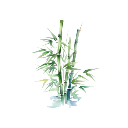 Watercolor painted bamboo.Hand drawn illustration isolated on white backgroundのイラスト素材