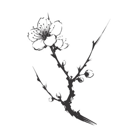 Cherry flower blossom, botanical art. Spring almond, sakura, apple tree branch, hand draw doodle vector illustration. Cute black ink art, isolated on white background. Realistic floral bloom sketchのイラスト素材