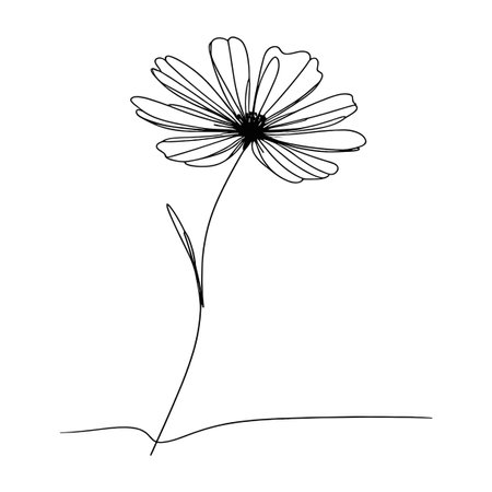 Continous line wildflower illustrationのイラスト素材