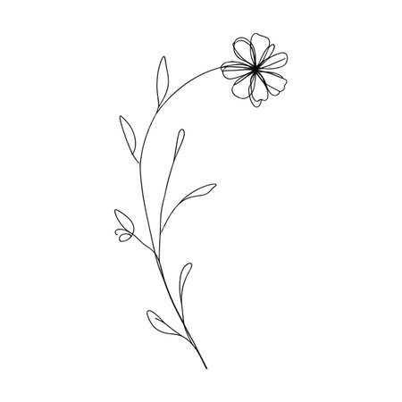 Continous line wildflower illustrationのイラスト素材