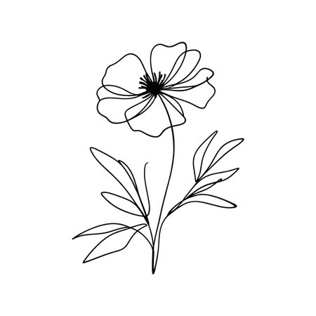 Continous line wildflower illustrationのイラスト素材