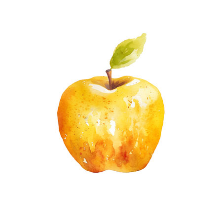 Watercolor Yellow Apple Illustration. Hand-drawn fresh food design element isolated on a white background.の写真素材
