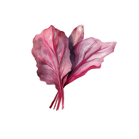 Watercolor salad leafs. Hand drawn fresh food design elements isolated on white background.