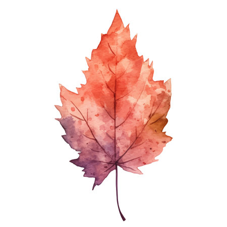 Watercolor Autumn Leaves Arrangementのイラスト素材
