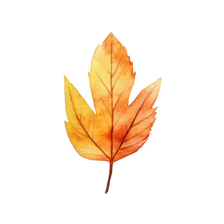 Watercolor Autumn Leaves Arrangementのイラスト素材