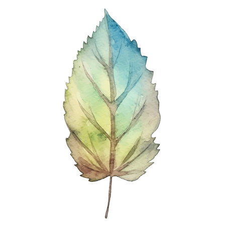 Watercolor Autumn Leaves Arrangementのイラスト素材