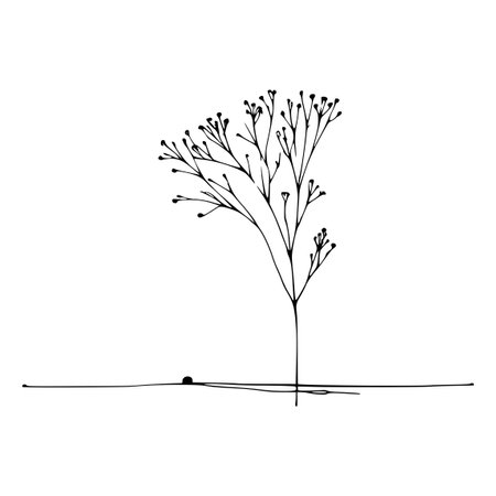 Hand drawn doodle sketch of a branch. Vector illustration.のイラスト素材