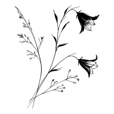Set of hand drawn flowers. Black and white. Vector illustration.のイラスト素材