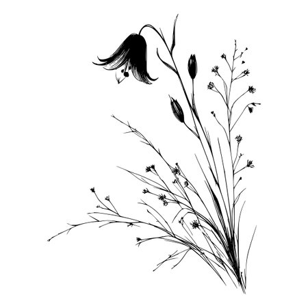 Vector set of hand drawn wild flowers. Black and white illustration.のイラスト素材