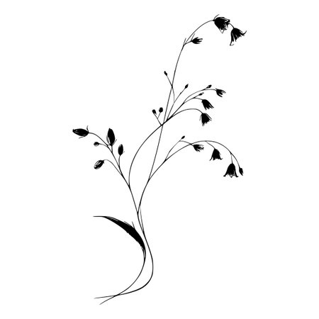 Silhouette of wildflowers on a white background. Vector illustrationのイラスト素材