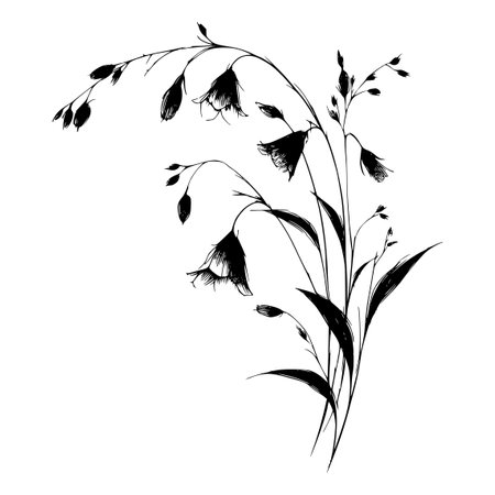 silhouette of wild flowers on a white background, vector illustrationのイラスト素材