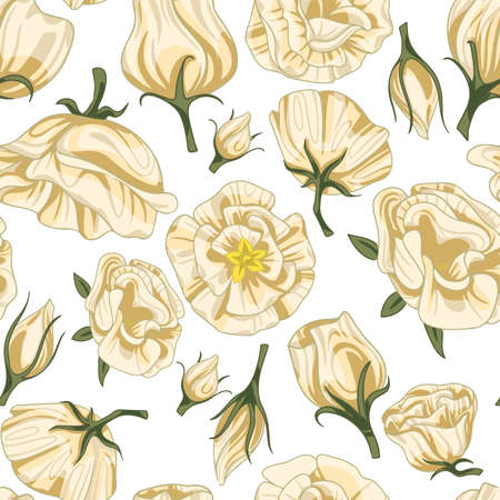 hand drawn floral pattern roseのイラスト素材