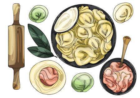 A set of painted dumplings and meat for filling. Russian traditional dish.のイラスト素材