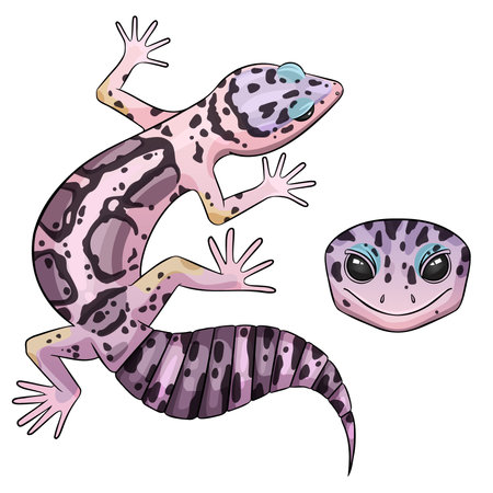 Vector illustration of an eublepharis leopard gecko Mack snowのイラスト素材