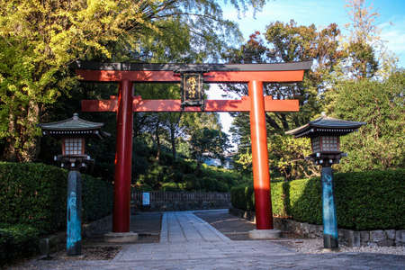 Morning sun shines on the torii gate at Nezu Shrine in Bunkyo-ku, Tokyoのeditorial素材