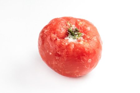 Single frozen tomato with frost isolated on white backgroundの写真素材