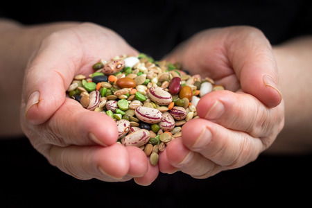 Hands holding mixed dried legumes and cerealsの写真素材