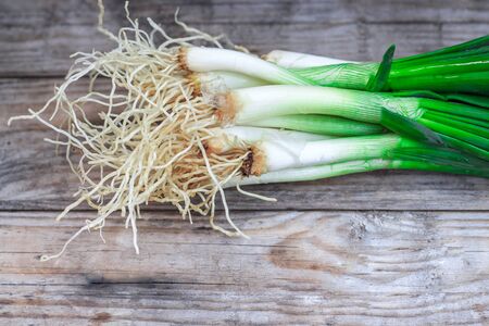 Fresh scallion with root ends on rustic wooden background. Copy spaceの写真素材