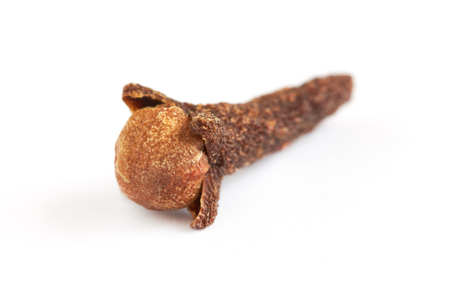 Single clove isolated on white background, selective focusの写真素材