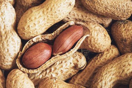 Pile of dry roasted peanuts (salted, in shell)の写真素材