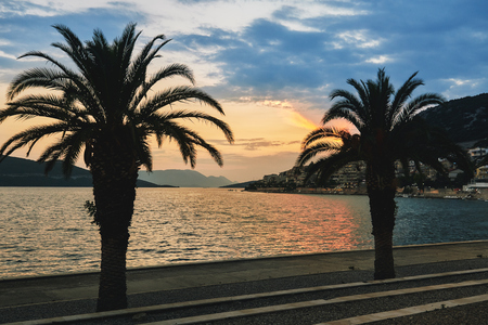 Palm trees and beach during sunset in Neum, Bosnia and Herzegovinaの写真素材