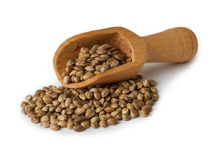Organic whole hemp seeds in wooden scoop  isolated on white backgroundの写真素材