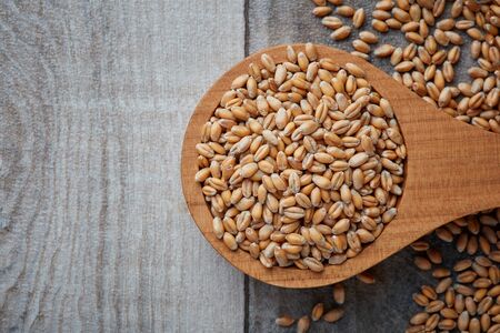 Raw wheat grain in wooden spoon on rustic background. Top view with copy spaceの写真素材