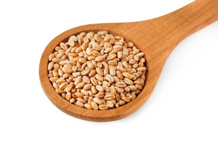 Raw wheat grain in woodenspoon isolated on white backgroundの写真素材