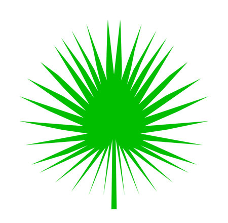 The leaves of the Palm tree vector illustration.のイラスト素材