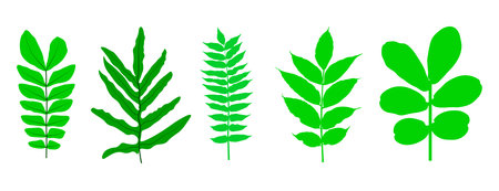 Set of Green growing  plant sprout leaves vector. Vector illustration. green tree leaf vector.のイラスト素材