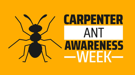 Ant design over yellow background, vector illustration. Vector illustration. Eps 10のイラスト素材