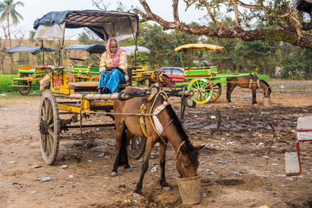 MURSHIDABAD, INDIA - JANUARY 23: An Indian coachman waits for passengers on his horse cart on January 23, 2016 in Murshidabad, West Bengal, India. Horse carts are very popular in Murshidabad.のeditorial素材