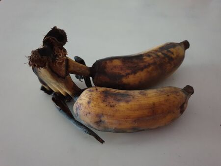 Two ripe bananas for eatingの写真素材
